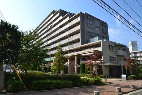 Local appearance photo. Local appearance: 2013 November shooting