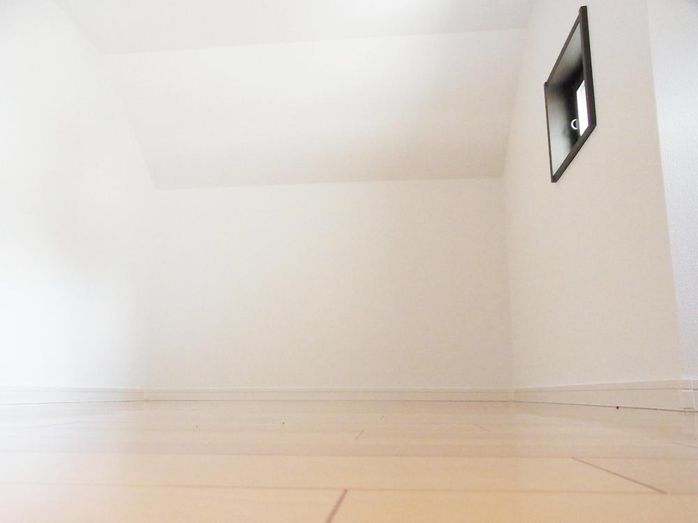 Other introspection. Attic storage (July 2013) Shooting