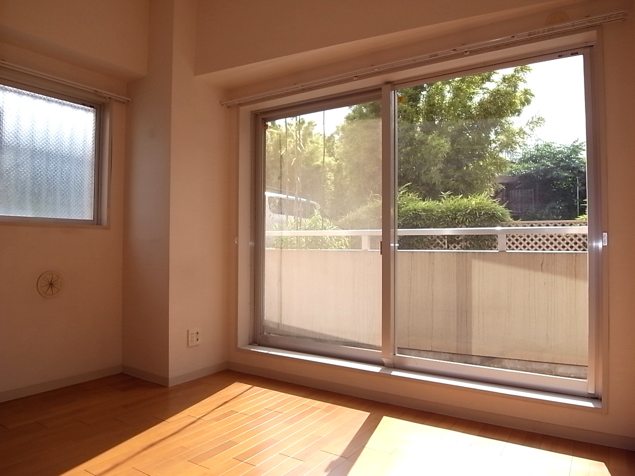 Living and room. Western-style 5 Pledge