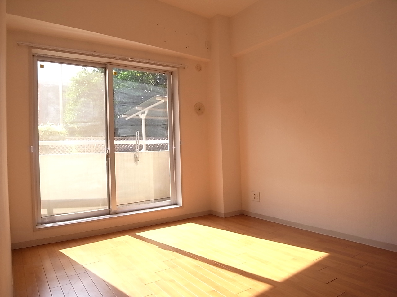 Living and room. Western-style 5.5 Pledge