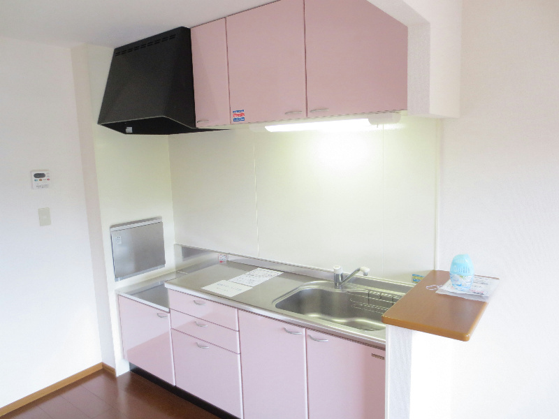Kitchen. It is pretty in pink kitchen.
