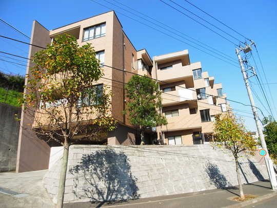 Local appearance photo