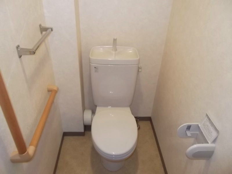 Toilet. Toilet