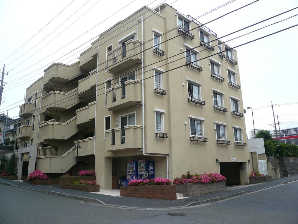 Local appearance photo. Local (May 2013) Shooting