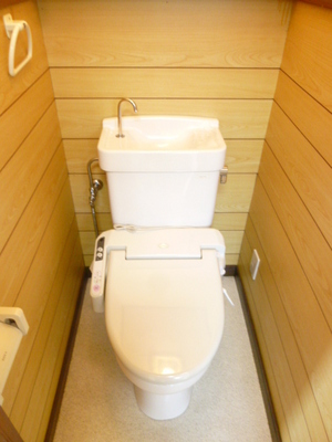 Toilet. With warm water washing toilet seat