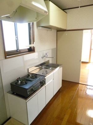Kitchen. Gas stove installation type