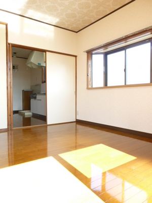 Living and room. The room is a bright two-plane daylight