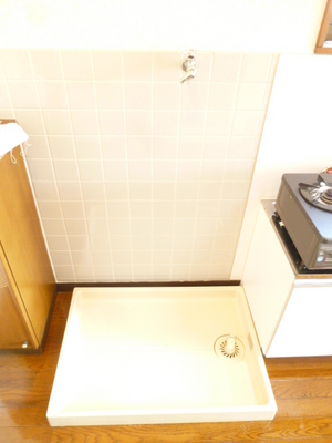 Other. There are washing machine storage in the room