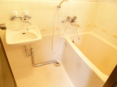 Bath. Beautiful bathroom
