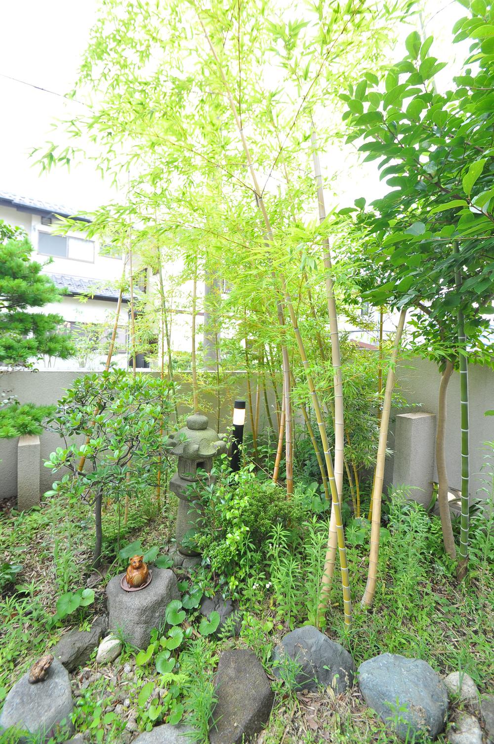 Garden. Local (July 2013) Shooting