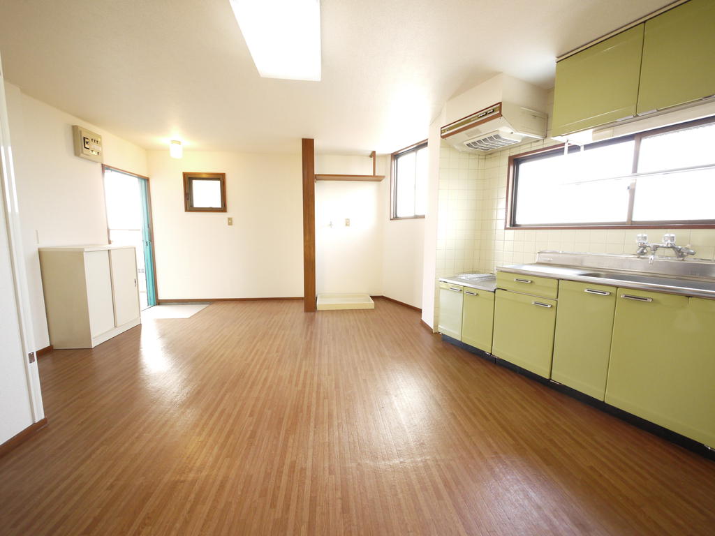 Living and room. Kitchen with bright green shine