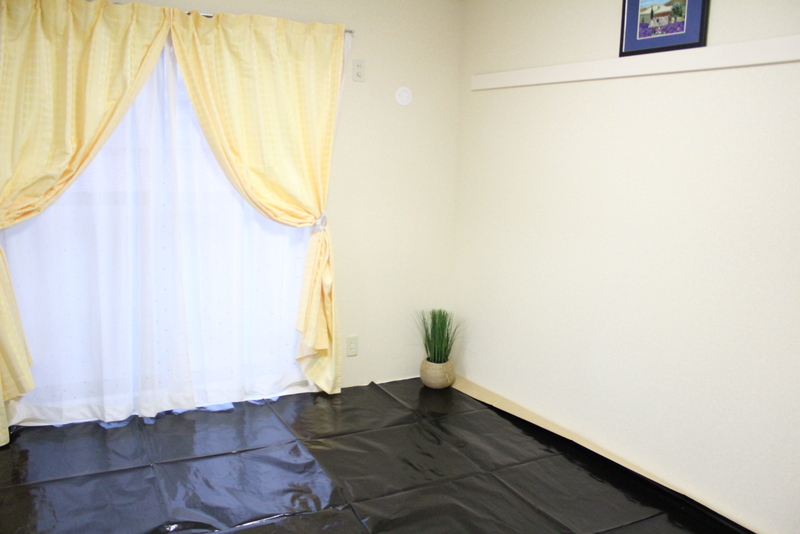 Other room space. Is a Japanese-style room