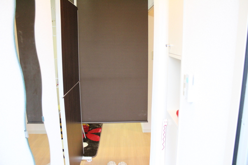 Other. Entrance roll screen