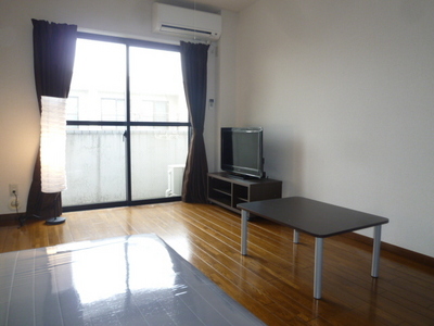 Living and room. Also bright and spacious room