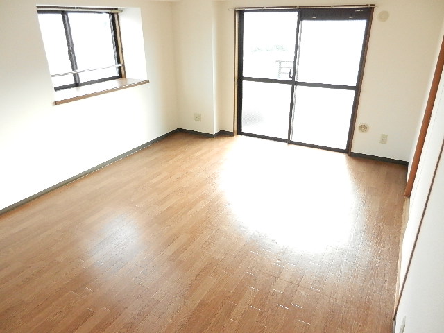Living and room. LDK