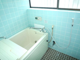 Bath. Bright bathroom of with window