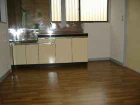 Kitchen. Open kitchen has excellent lighting