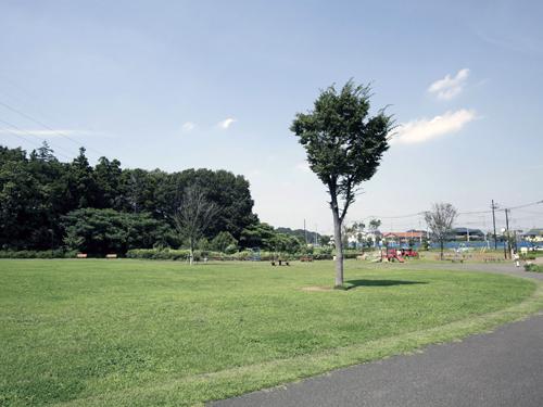 Adjacent to the "Genkai field park". Vast Forest Park area of ​​about 173000 sq m (some restricted access areas available). Playground equipment Square ・ Athletic field ・ Barbecue facilities, such as, It has become a popular park where there is a facility family can enjoy to play in active.