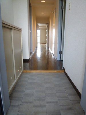 Entrance. There shoes BOX in the front door