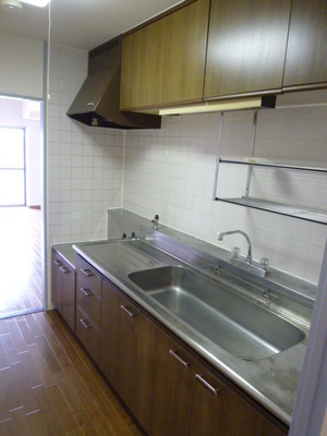 Kitchen. Stand-alone kitchen