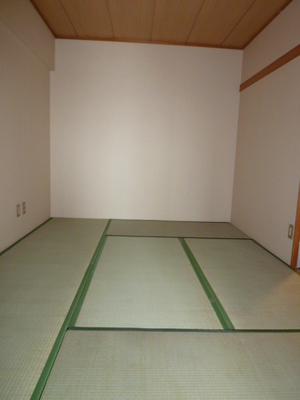 Living and room. I'm like the Japanese if Japanese-style room