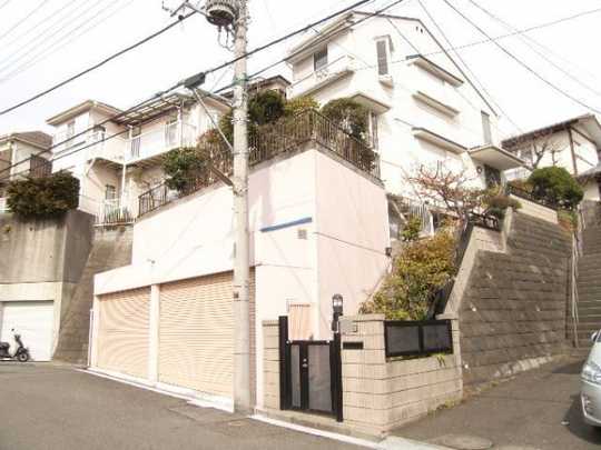 Local appearance photo. (1)