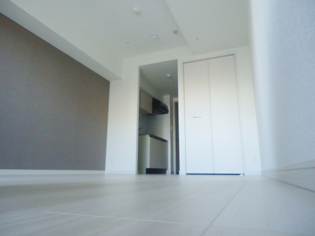 Living and room. Living