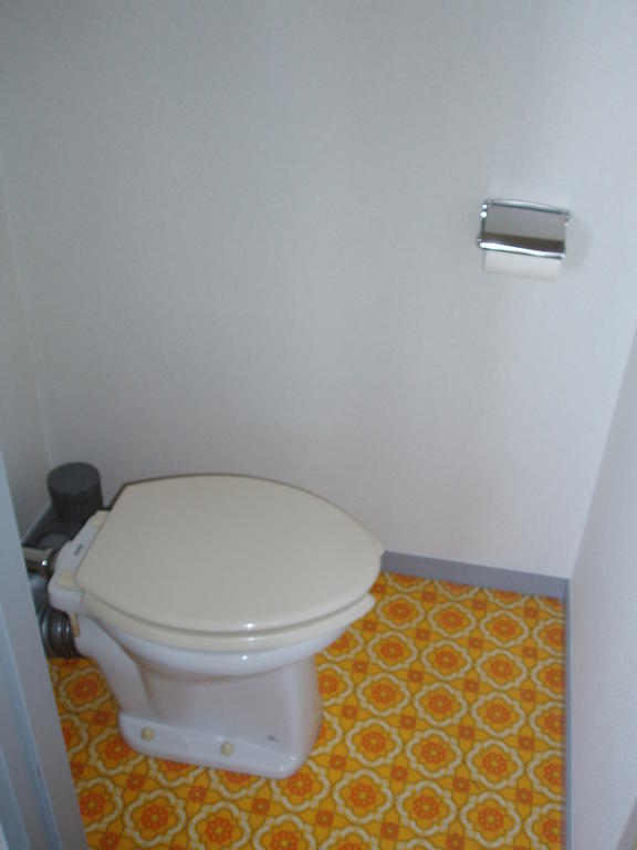 Toilet. Fashionable toilet