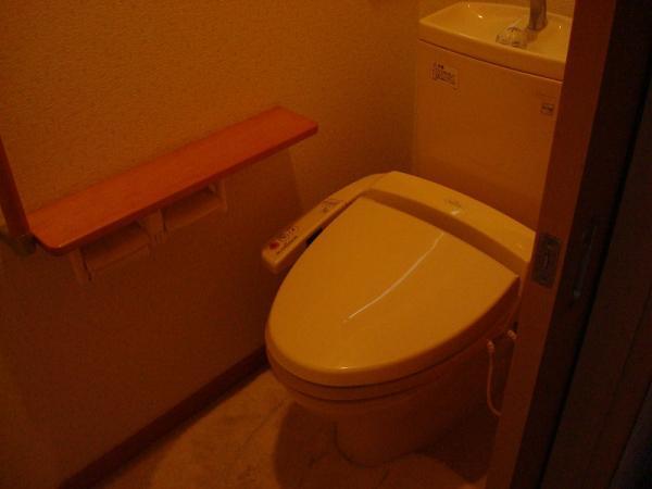Toilet