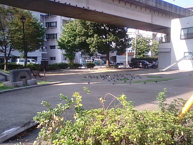 park. Until Banhigashikyo park 965m
