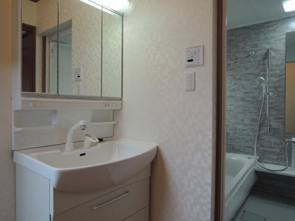 Wash basin, toilet. Interior
