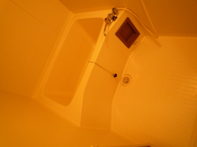 Bath. Bathroom