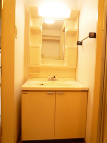 Washroom. Easy independent vanity morning of preparation