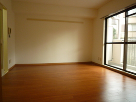 Living and room. Sunny living room on the south-facing