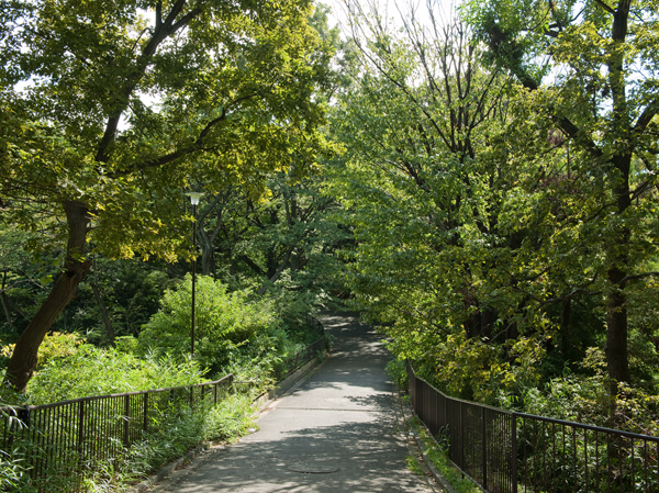 Surrounding environment. Gumyoji park (about 1230m ・ 16-minute walk)