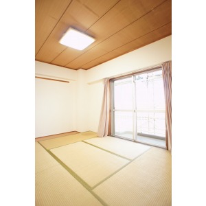 Living and room. Japanese-style room 6 tatami (lighting fixtures, New installation