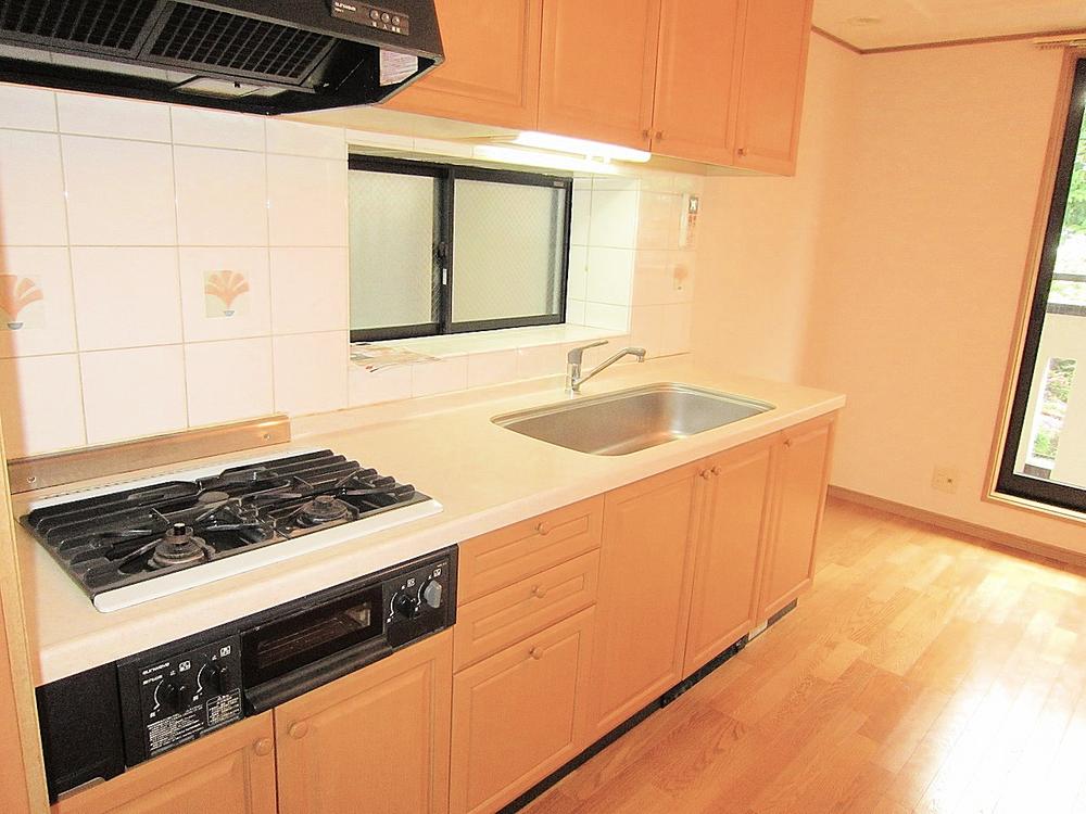 Kitchen. Cleanliness there kitchen (May 2013) Shooting