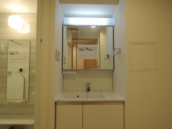 Wash basin, toilet. Interior