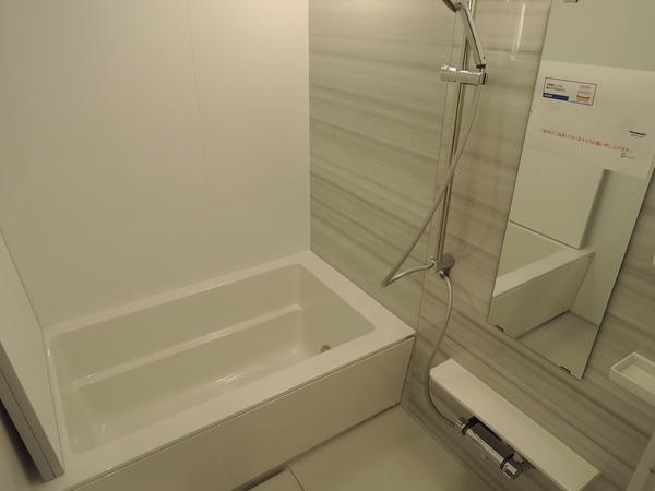 Bathroom. Interior