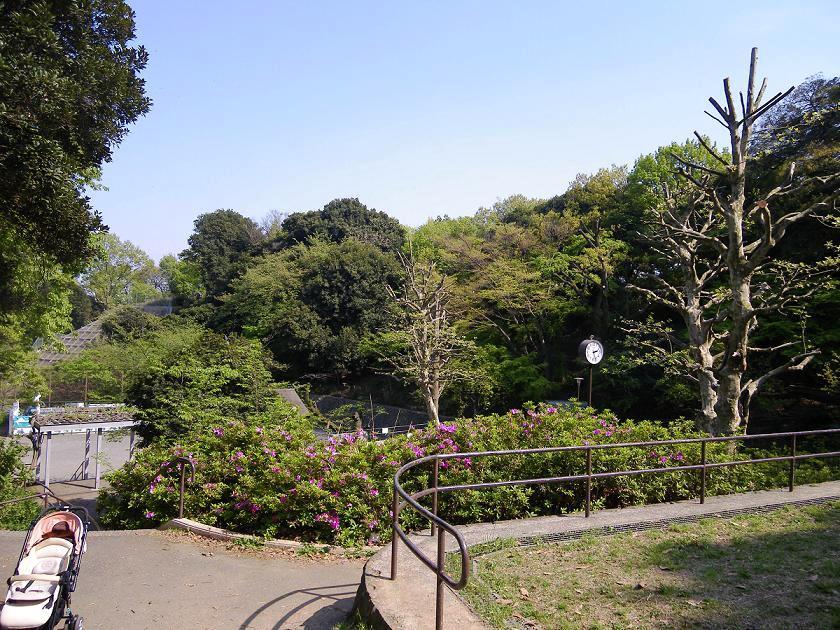 park. 950m until Gumyoji park