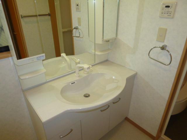 Wash basin, toilet. Bathroom vanity