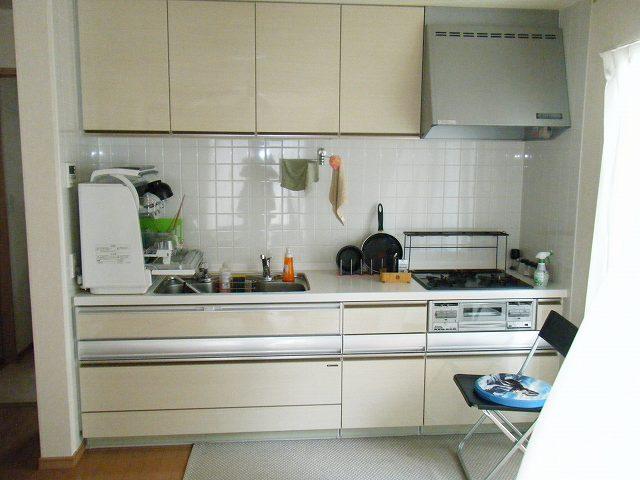 Kitchen. Indoor (07 May 2013) Shooting