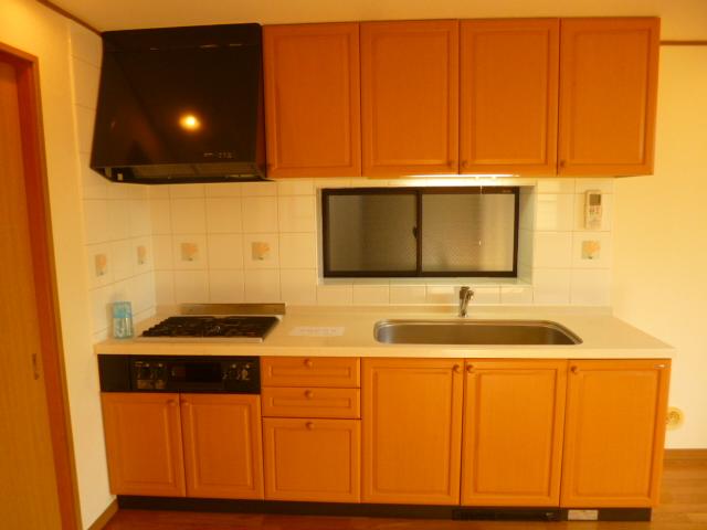 Kitchen. Indoor (11 May 2013) Shooting