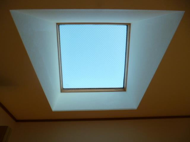 Other. Skylight