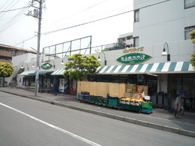 Supermarket. 800m until the food Museum Aoba (super)