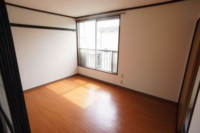 Living and room. Sunny