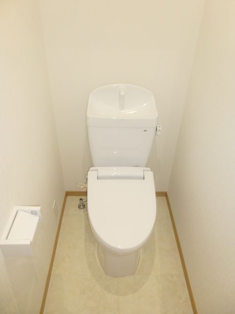 Toilet. It is a new toilet