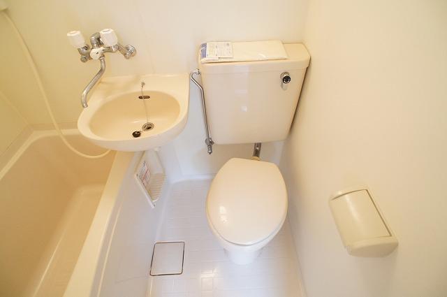 Toilet. Indoor image (photo 102)