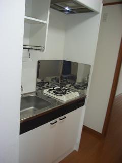 Kitchen. Gas stove
