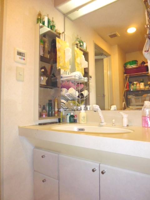 Wash basin, toilet. Indoor (11 May 2013) Shooting
